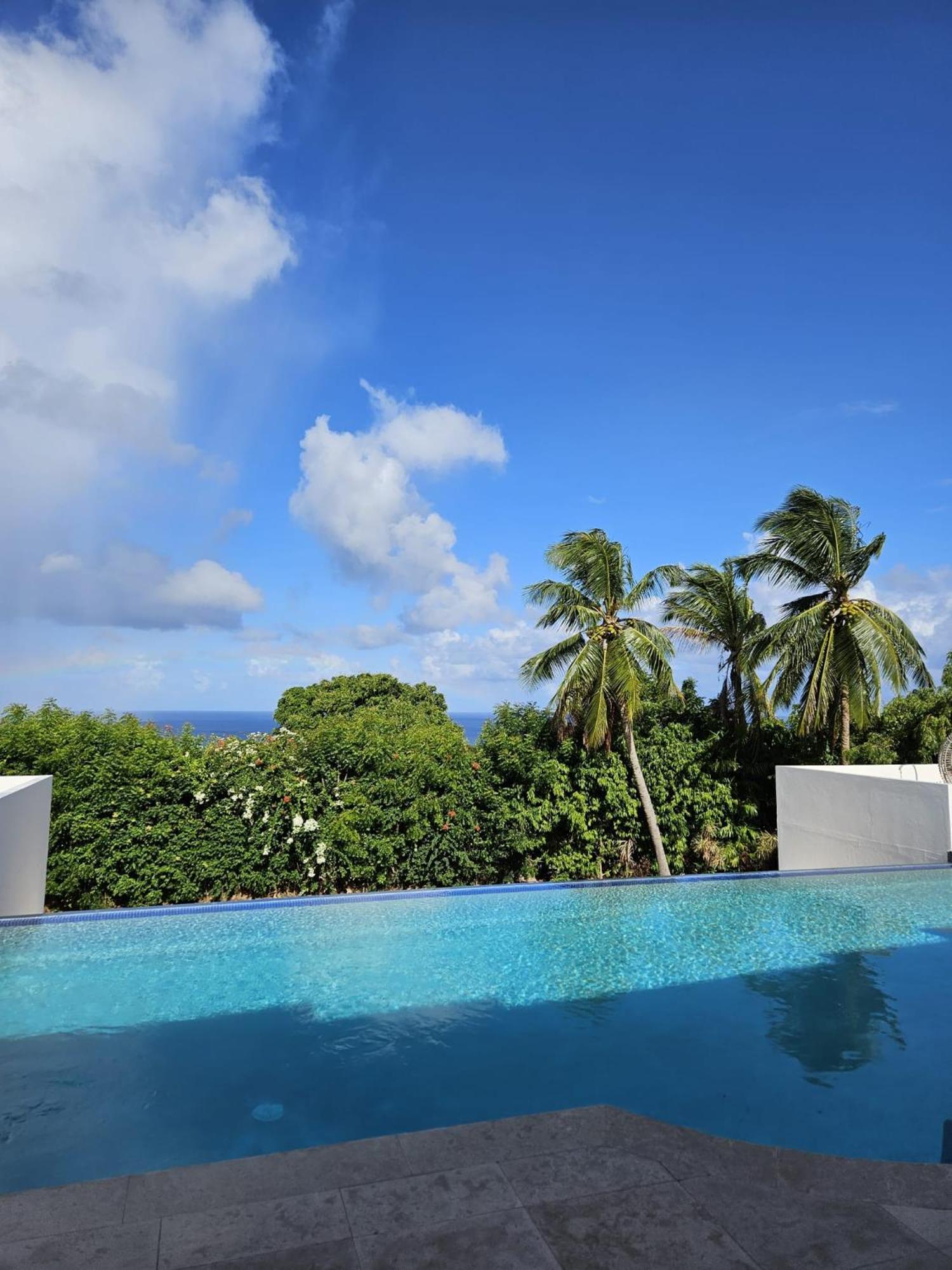 Purple Haze - Infinity Pool Holiday Home Minutes From The Island'S Best Beaches 세인트 제임스 외부 사진